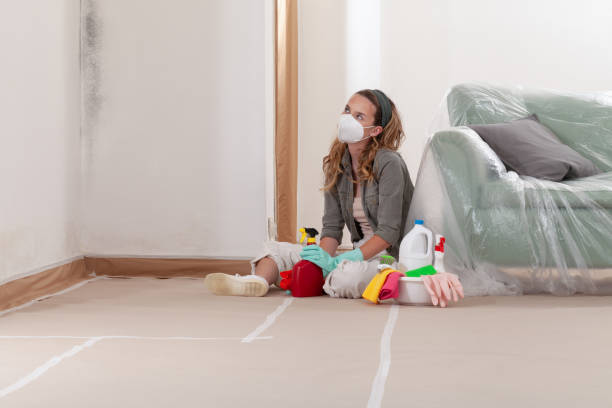 Reliable Commercial Mold Remediation contractor in Riverside, IL by WQB Mold Removal